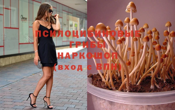 каннабис Алзамай