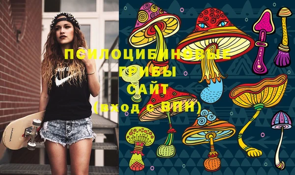 метадон Алексеевка